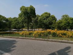 -贡湖湾湿地公园