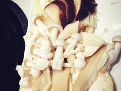 菌菇拼盘-刘一锅筋头巴脑(新民街店)