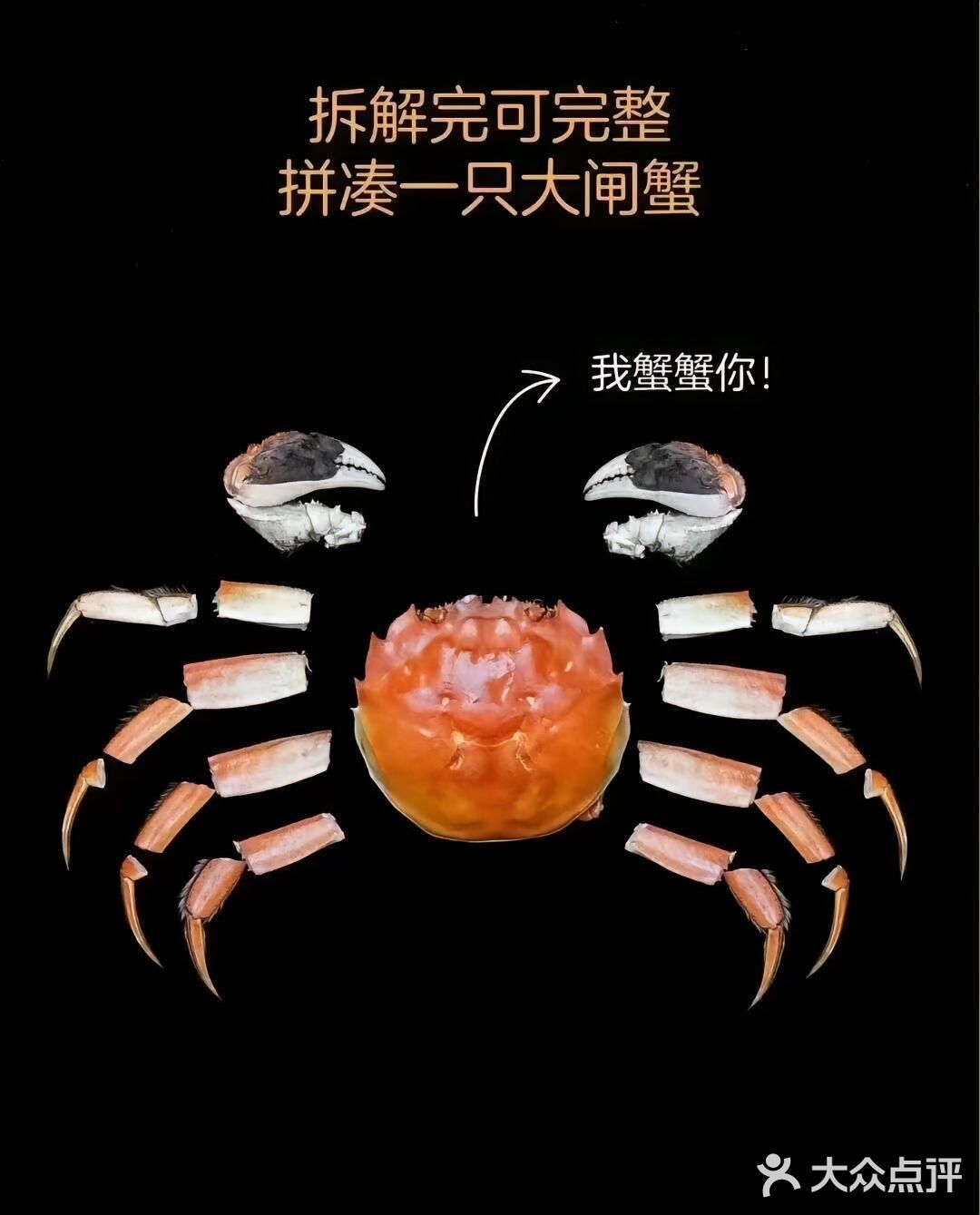 🐚🥢螃蟹大揭秘：手把手教你轻松拆螃蟹