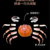 🐚🥢螃蟹大揭秘：手把手教你轻松拆螃蟹