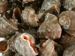 -宾朋海鲜特色美食餐厅·纯手工鲅鱼水饺(兴海路店)