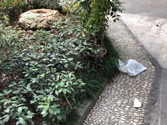 -沈坚强游泳俱乐部(长征分部)