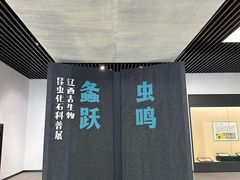 -诸暨博物馆