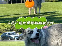 -大连人民广场
