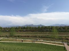 景点-洨河生态公园