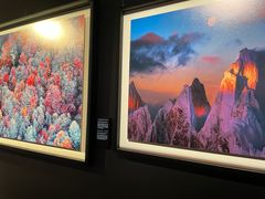 -罗红摄影艺术馆