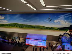 -中国人民解放军总医院