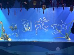 -海合安成都极地海洋公园