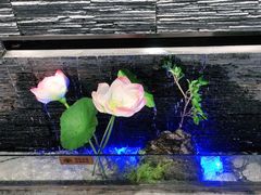 -大榕树下顺德菜(融创茂店)