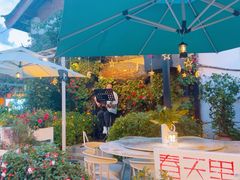 -春天里餐厅·云南创意菜特色美食(束河店)
