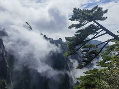 -黄山风景区