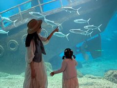 -福州罗源湾海洋世界旅游区