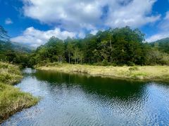 -海南热带雨林国家公园吊罗山景区
