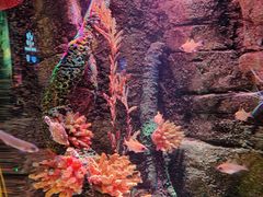 -沈阳海洋探索中心