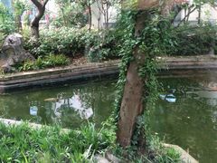 -广富林宰相府酒店·水云间