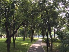 -海珠湖公园