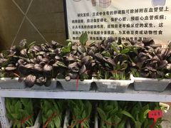 -梅花香里大酒店(郁金香路店)