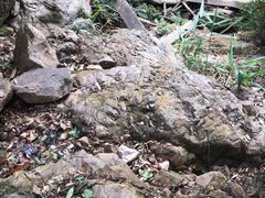 -牛鱼嘴原始生态风景区