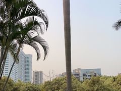 -东风公园