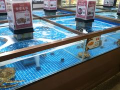 水产区-七鲜超市(通州ONE店)