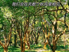 -杭州植物园