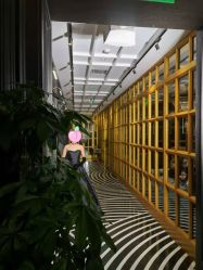 点击看大图 -鼎极摄影(世纪金源店)