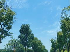 -广富林郊野公园