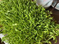 活体豌豆苗-捞王锅物料理(上海世茂广场店)