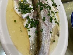 清蒸鲜白鱼-锡和无锡菜(景丽苑店)