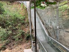 -梅岭月亮湾山体公园