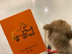 -艾贝尔宠物诊疗