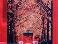 -前门大街