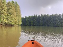 -上海海湾国家森林公园