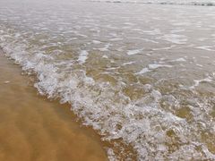 -日照海滨国家森林公园