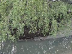 -深圳湾公园(南山区)