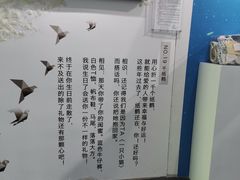 -星空失恋博物馆(双子塔旗舰店)