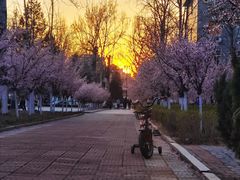 -山东师范大学(千佛山校区)