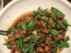 大鸽饭辣椒炒肉-大鸽饭(马王堆店)