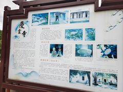 -鼎湖山风景区