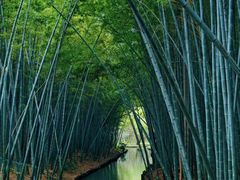 -同里国家湿地公园