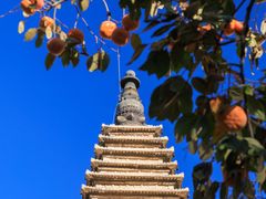 -北京石刻艺术博物馆(五塔寺)
