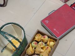 -老袁家蜜桃农场·阳山水蜜桃