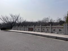 -南湖湿地公园