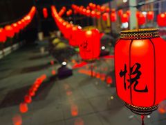 -上海崇明金茂凯悦酒店