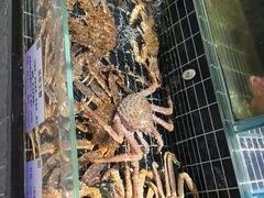 -宏运厨房·海鲜青岛菜·生日宴(城市阳台店)