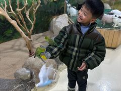 -大连圣亚海洋世界
