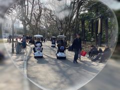 -上海交通大学医学院附属瑞金医院(总院)
