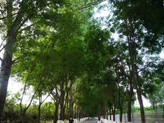 -东郊湿地公园