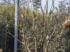 -杭州野生动物世界