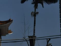 -金牛星食杂店(德政北路店)